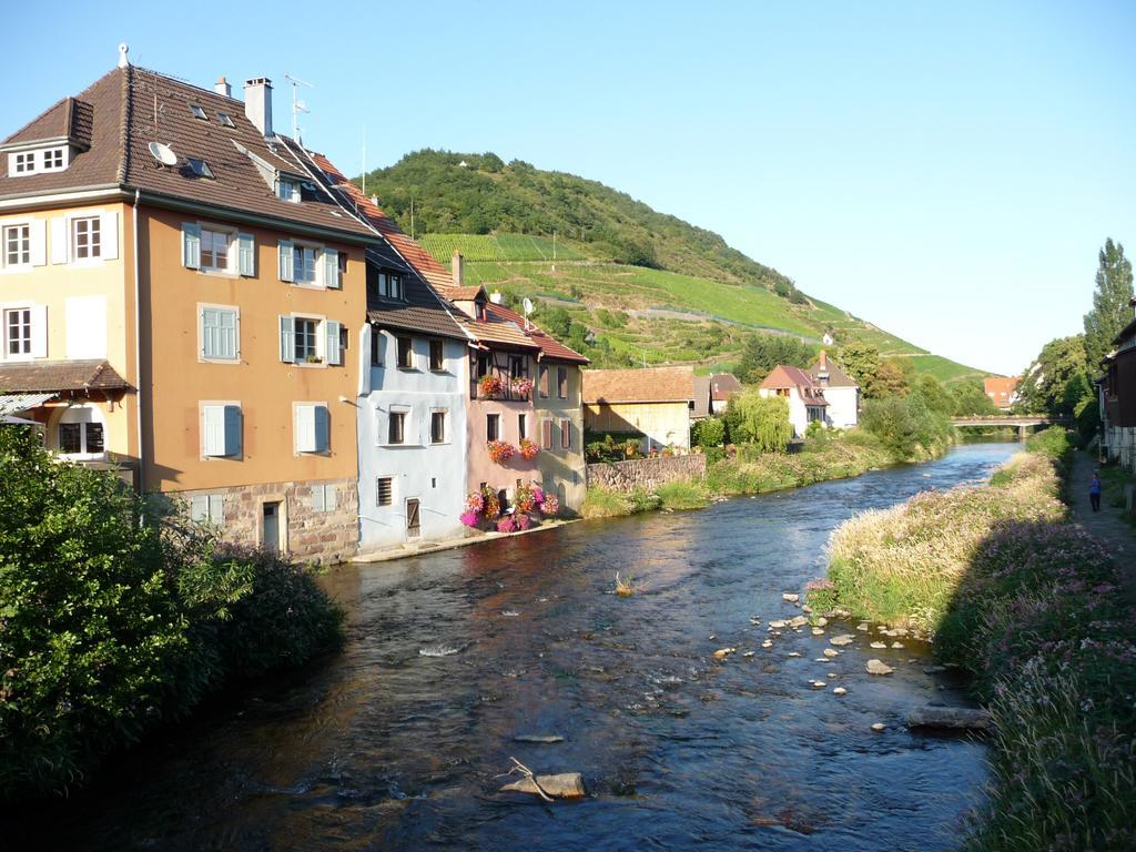 Huttopia De Wattwiller Exteriör bild